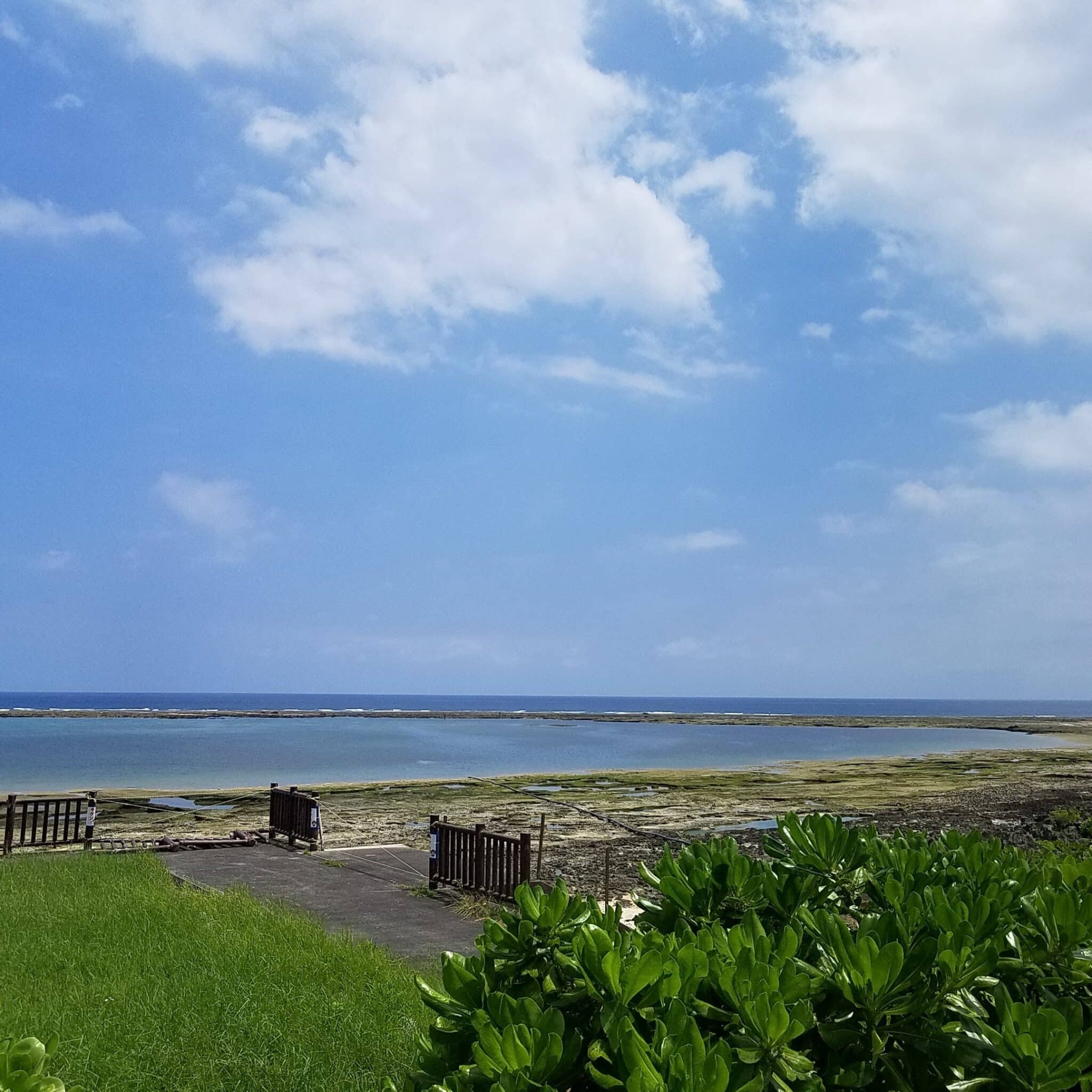 雑記の記事一覧